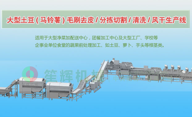 大宁连续式土豆去皮清洗切割风干生产线